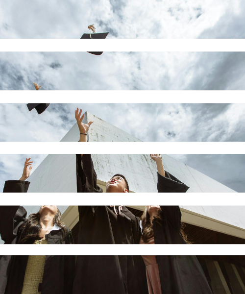 Career Assessment